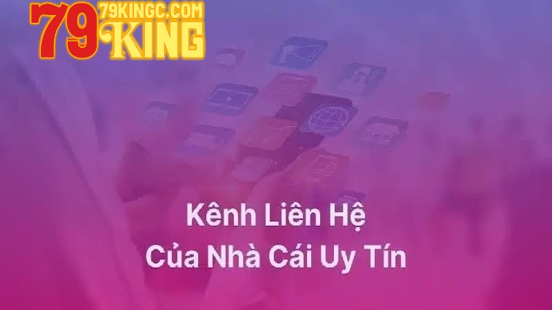 Các kênh liên hệ 79King chính được nhiều người dùng